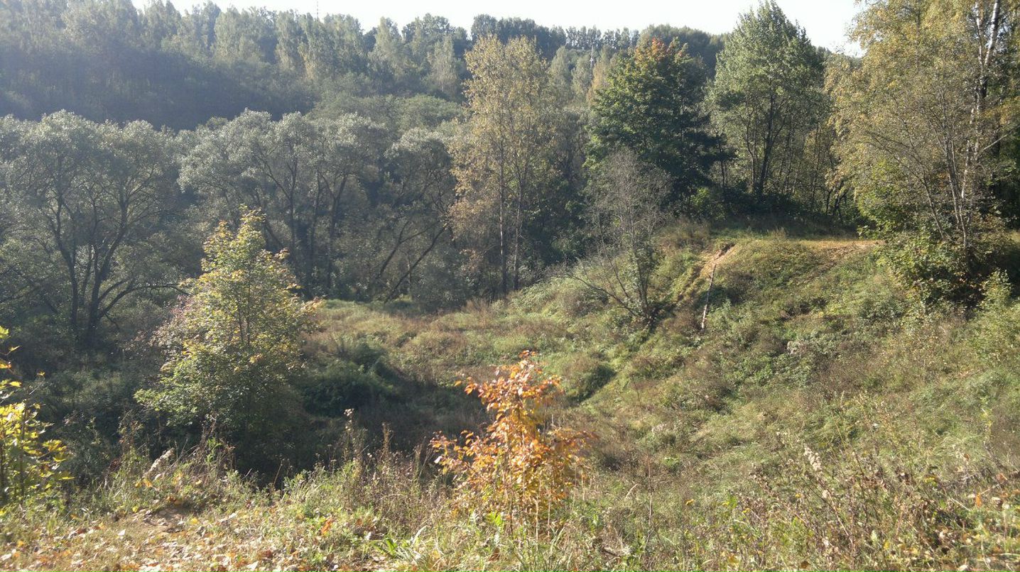 Серёжа Гомза | Москва