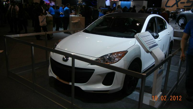 Эллина Керимова Yote | Toronto