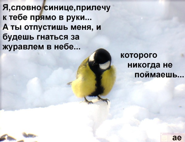№86, Анастасия Неретина, Санкт-Петербург №86, Анастасия Неретина, Санкт-Петербург
