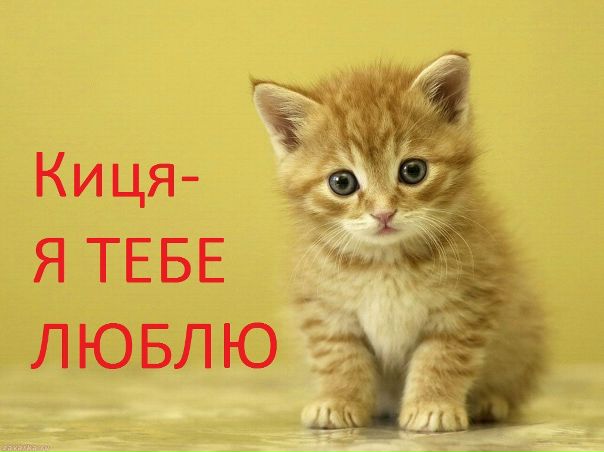 №189, Юлічка Ткачук, 32 года, Острог №189, Юлічка Ткачук, 32 года, Острог