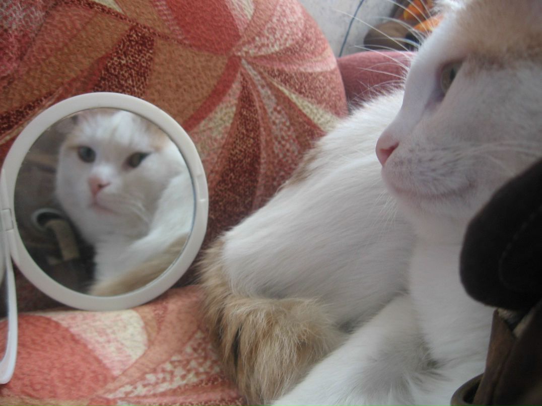 Алёна Придня | Новосибирск