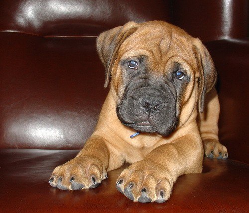 Ольга Байрамова | Москва