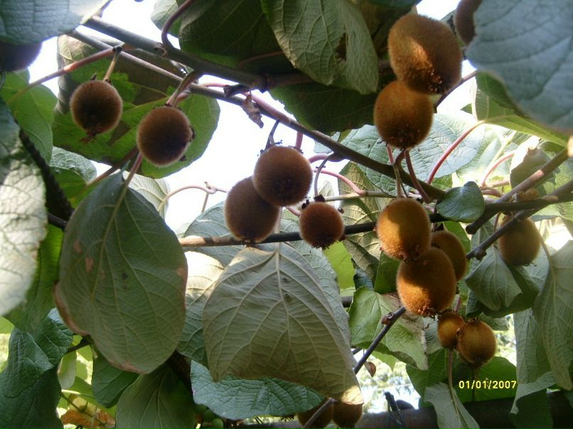 Александра Шишигина | Москва