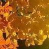 №57, Наталья Аджигитова, 58 лет, Астана №57, Наталья Аджигитова, 58 лет, Астана