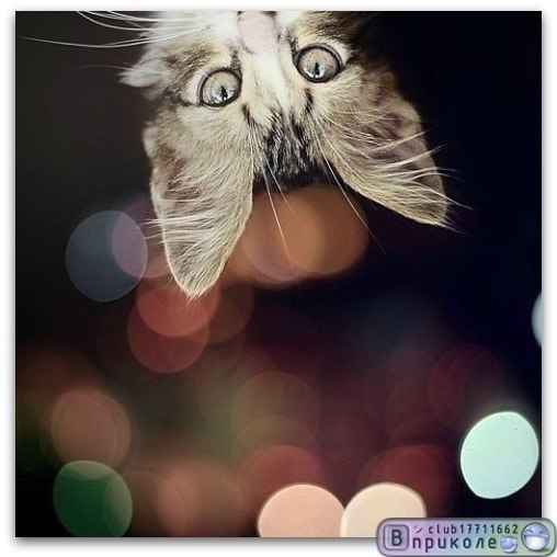 Елена Ильина | Оренбург