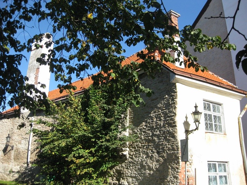 Алла Онишкив | Чернигов