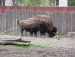 Антонина Поварнина фотография #22