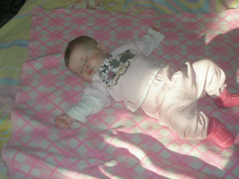 Роман Кошелев | Арзамас