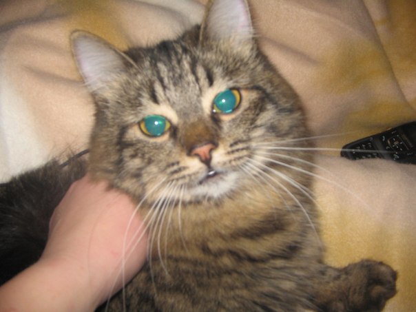 №20, Кристина Гусейнова, 35 лет, Минск №20, Кристина Гусейнова, 35 лет, Минск