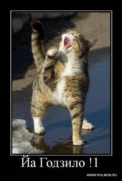 Иришка Лесникова | Серов