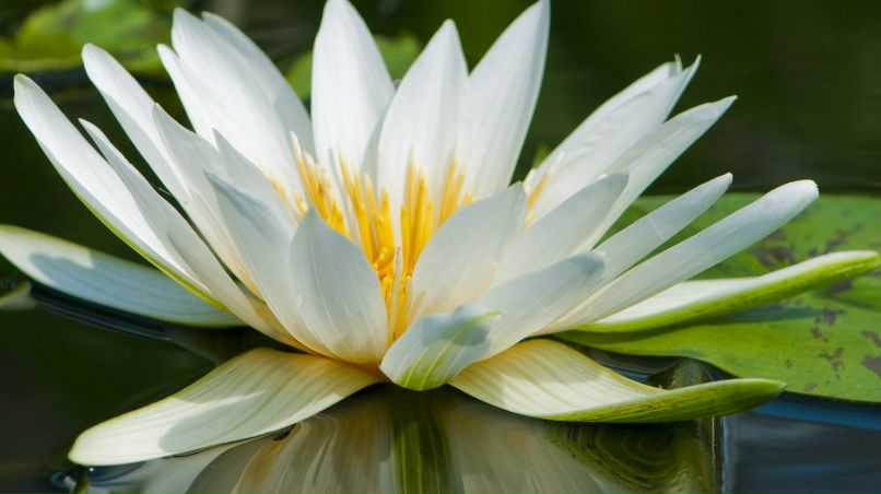 Наталья Шубкина | Тверь