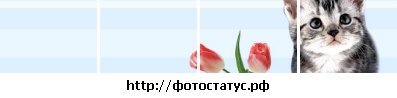 №147, Алёна Снитко, 41 год, Смоленск №147, Алёна Снитко, 41 год, Смоленск