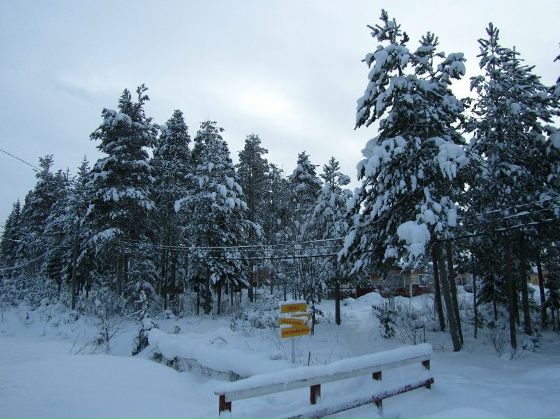 Алексей Алтухов | Воронеж