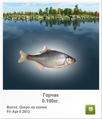 Игорь Симоненко | Корюковка