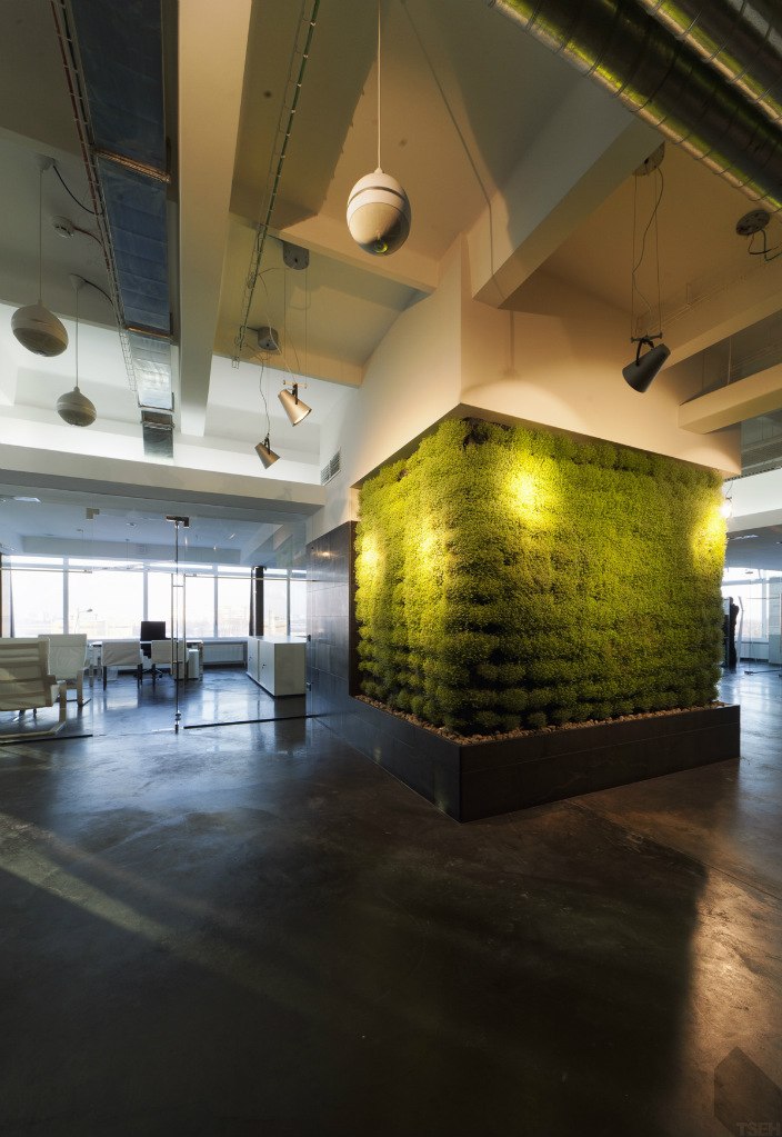 Антонина Капля | Киев