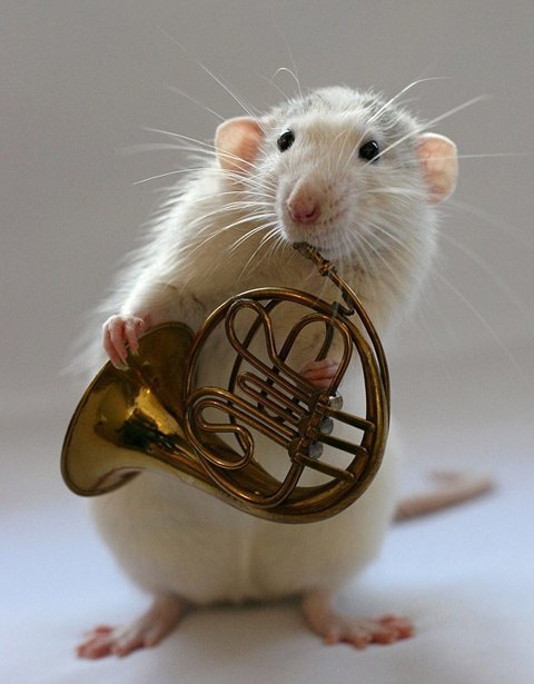 Сергей Мавров | Николаев