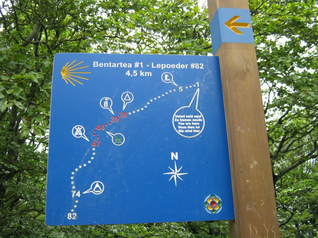 Светлана Иванова | Санкт-Петербург