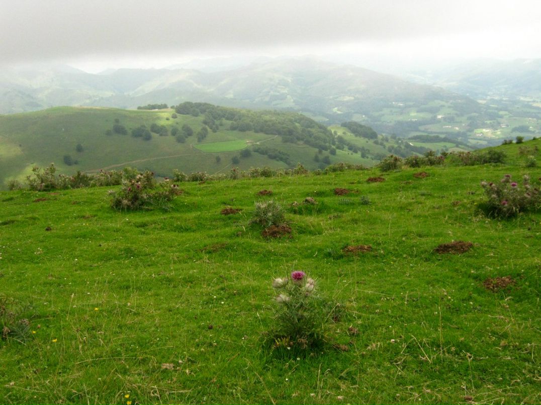 Светлана Иванова | Санкт-Петербург