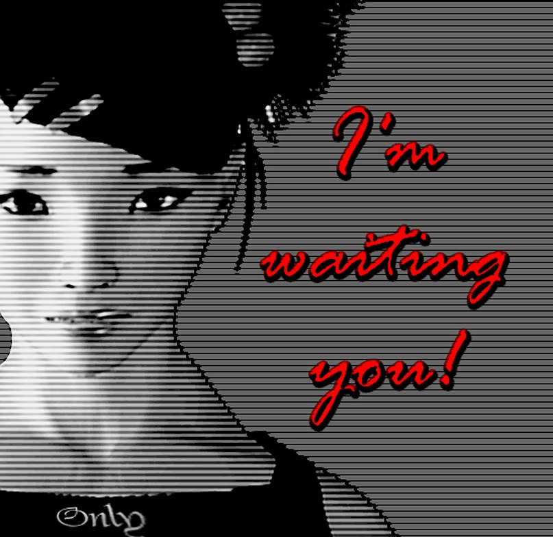 Vladimir Ferrucci 猫 | San Paolo di Civitate