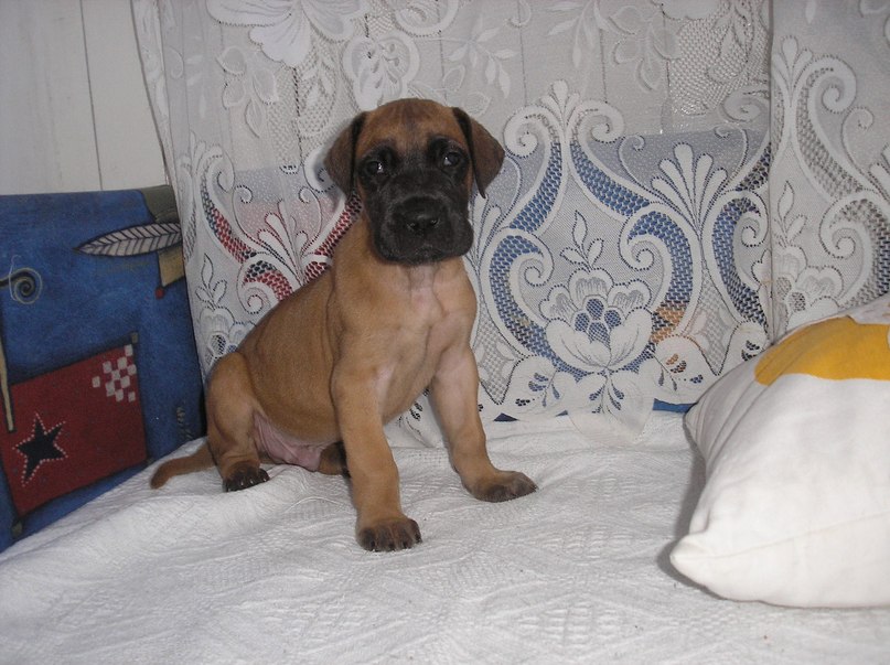 Игорь Попов | Черноморск / Ильичевск