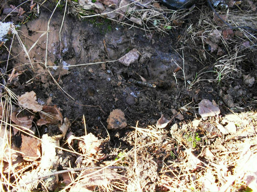 Максим Смирнов | Можайск