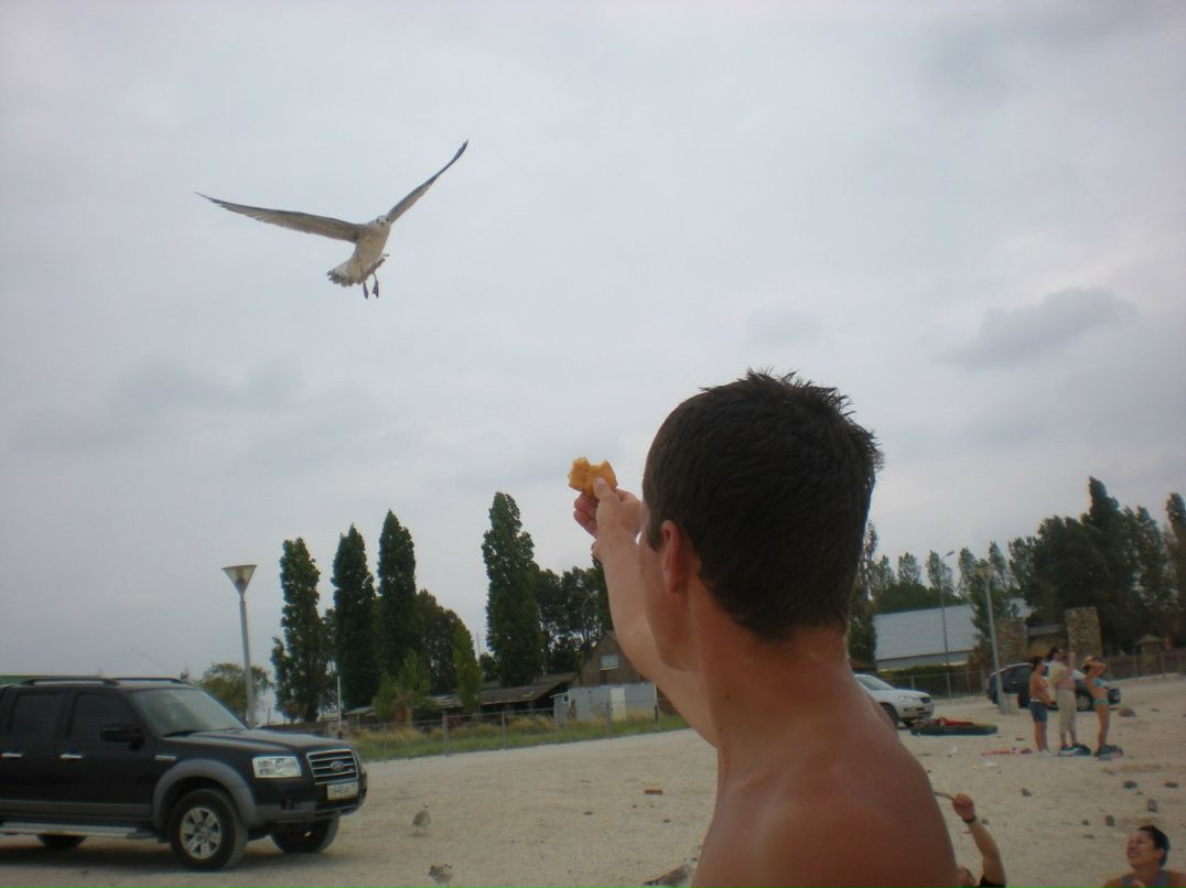 Павел Манаенков Николаевич | Липецк