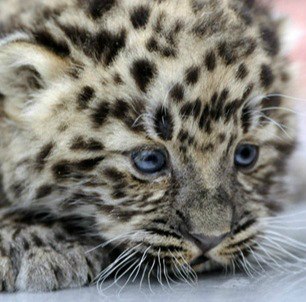 Prosto Сашенька | Великие Луки