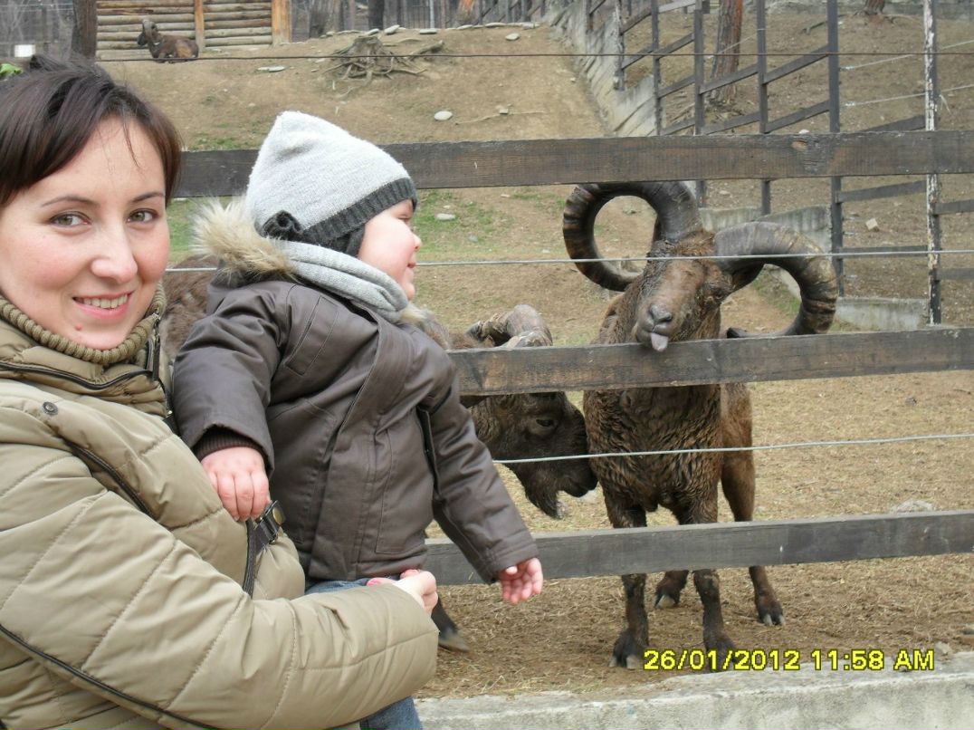 Dato Merebashvili farsmanich | Киев