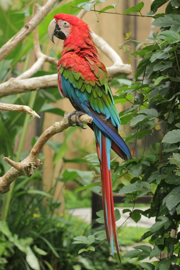 Анюточка Грекова-Ширшова | Москва