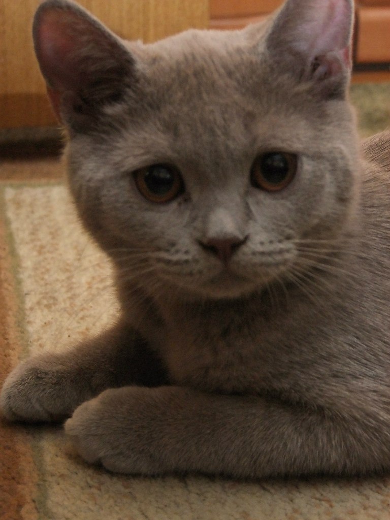 Вадим Барко | Киев