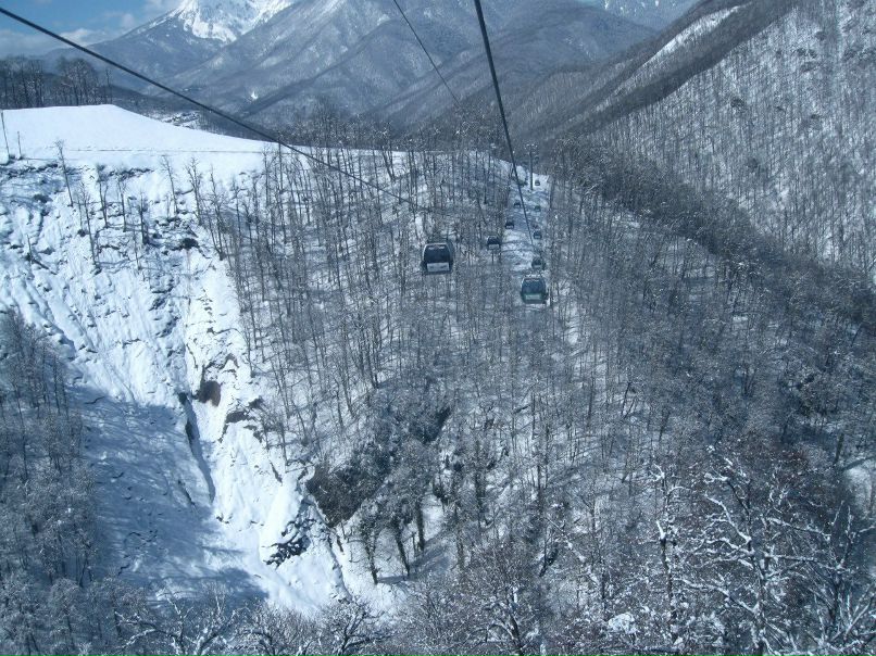 Ольга Соболева | Тула