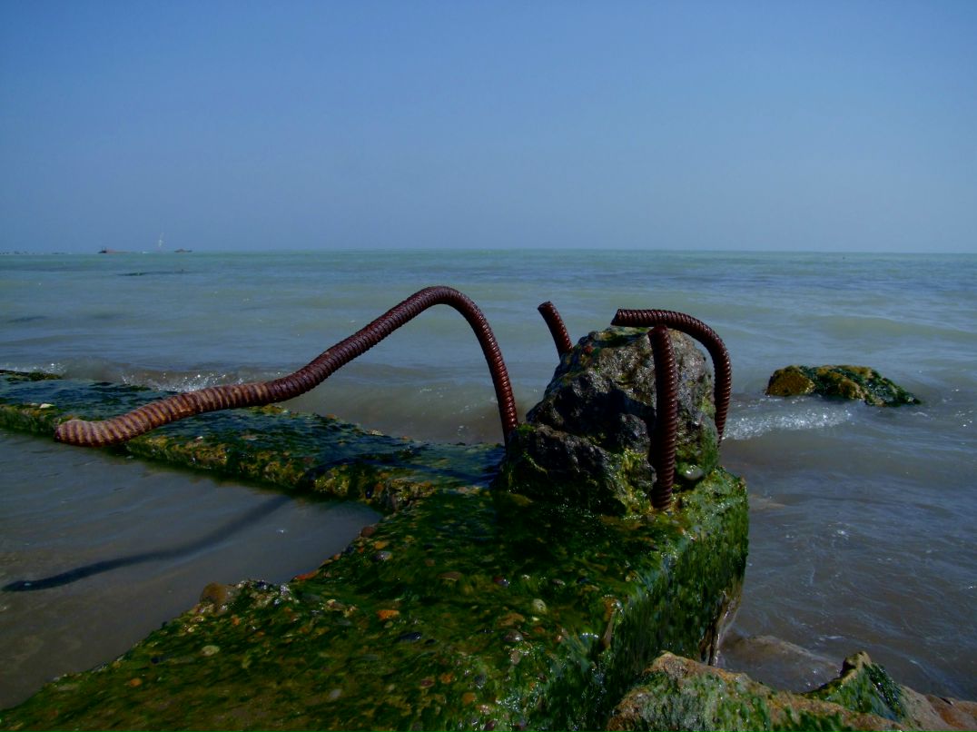 Анна Камаева Варавва | 