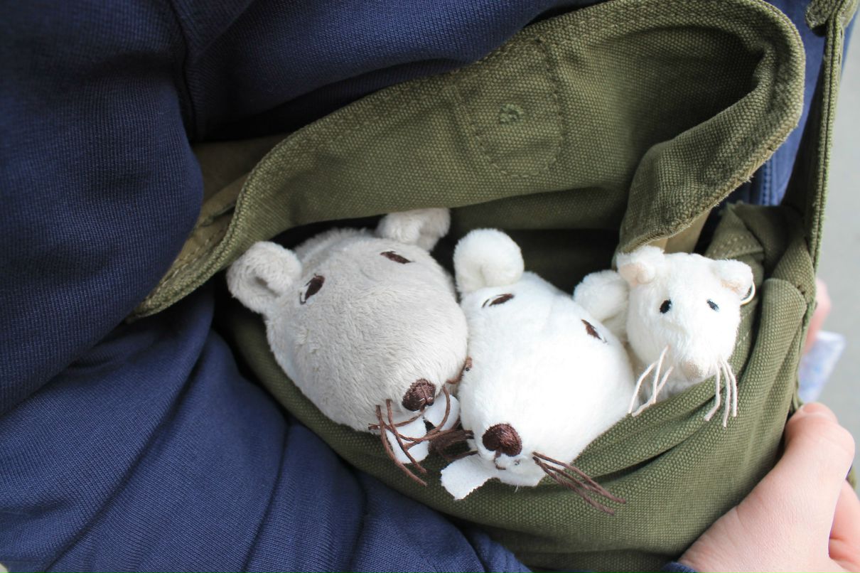 Софья Барсукова | Москва