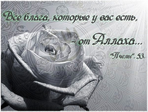 Гулина Сабирзянова | Старое Дрожжаное