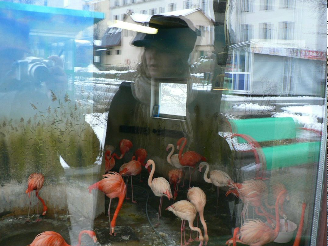 Лариса Чаплыгина lol risa ;) | Москва