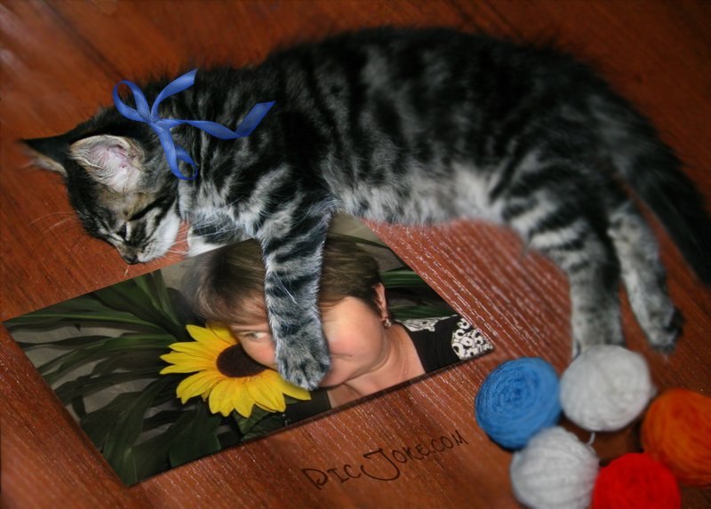 Люда Подаченко | 