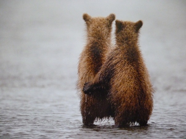 №78, Галя Шнайдрук, Санкт-Петербург №78, Галя Шнайдрук, Санкт-Петербург