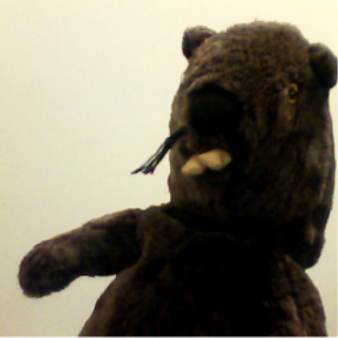 №131, Асан Эюпов, Хайфа, Израиль №131, Асан Эюпов, Хайфа, Израиль