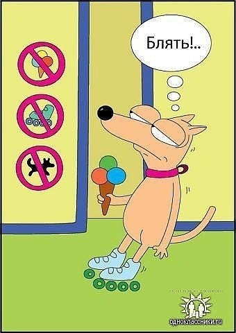 Виктория Дидух Vik-ki | Москва