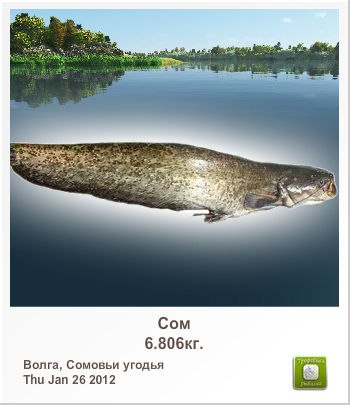 Дима Хижняков | Коломна