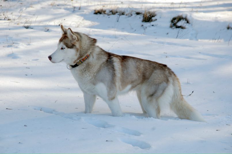 Катя Лукаш | Полтава