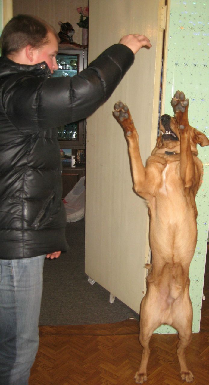 Юрий Пресняков | Шлиссельбург