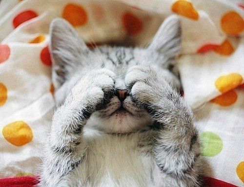 Юлия Денисова | 