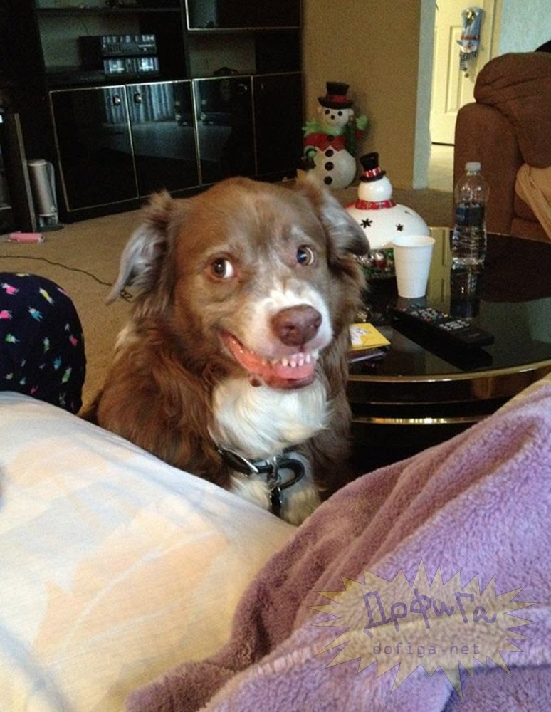 Олексій Котов | Черкассы