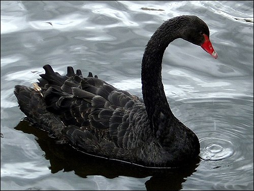 Алёна Битехтина | Москва