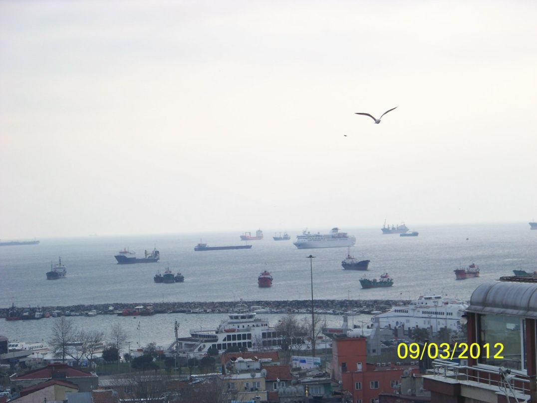 Наталия Жуган | Владимир-Волынский