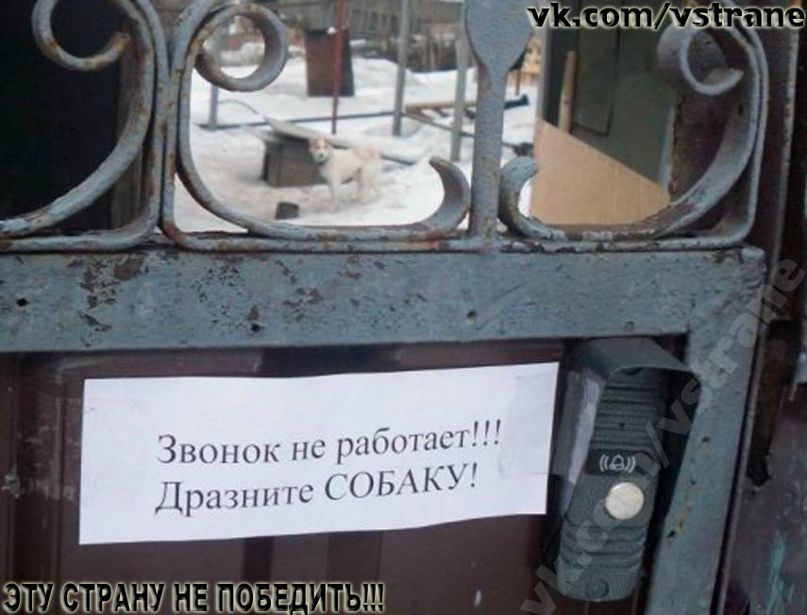 Артем Гречок | Киев