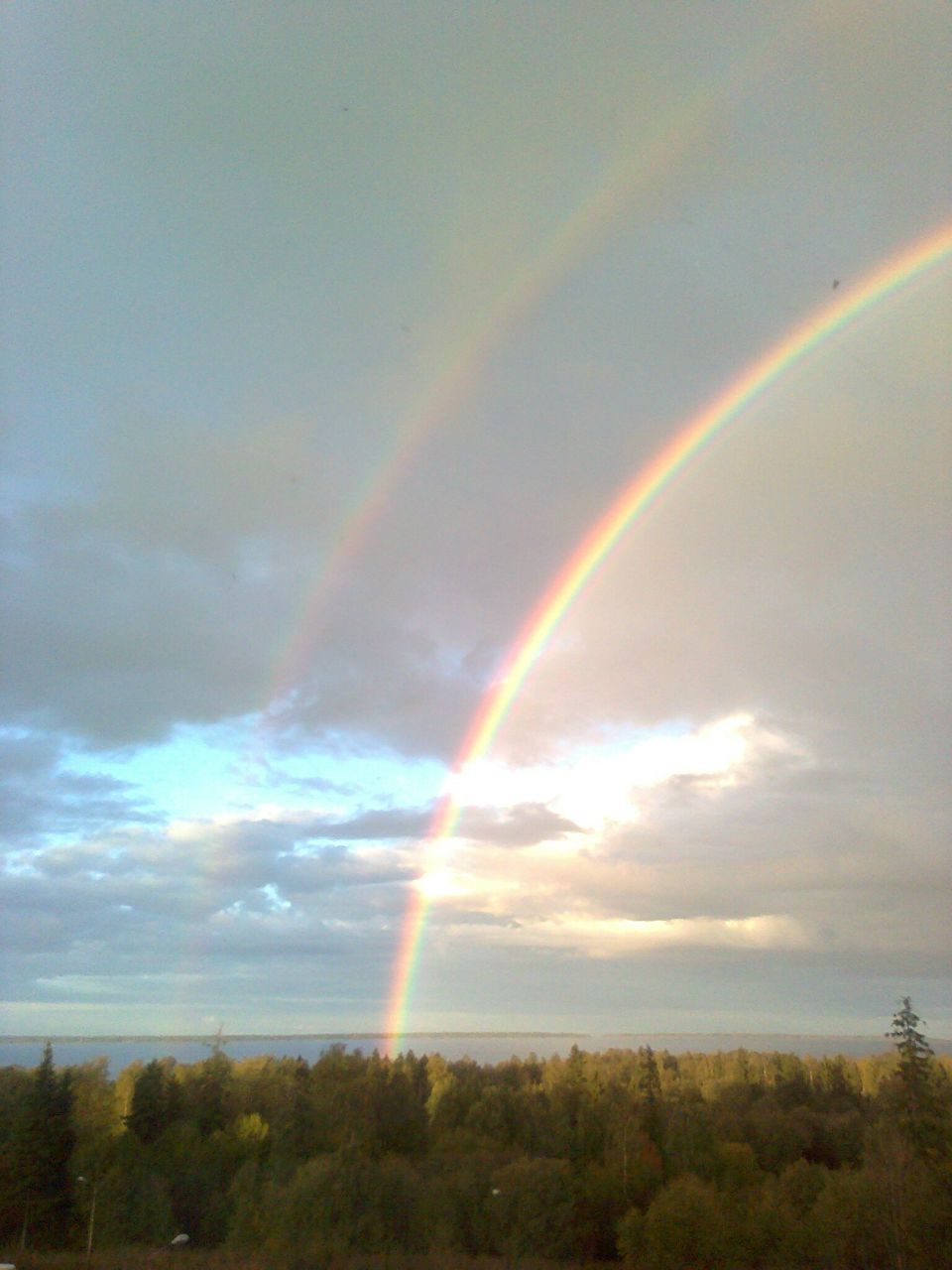 Людмила Запутряева | Петрозаводск