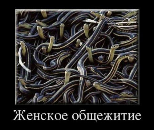 Дима Иванов | 