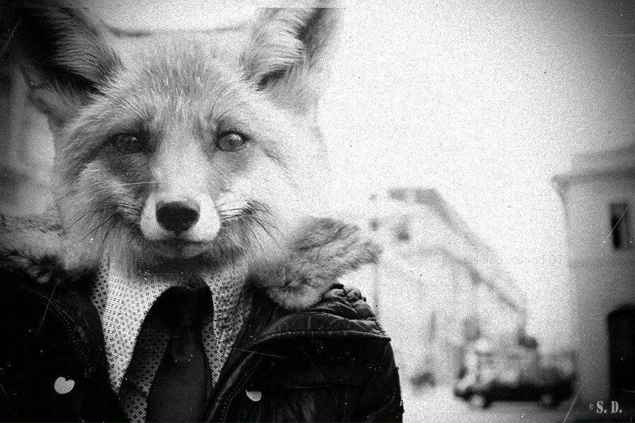 Александр Александров | Москва